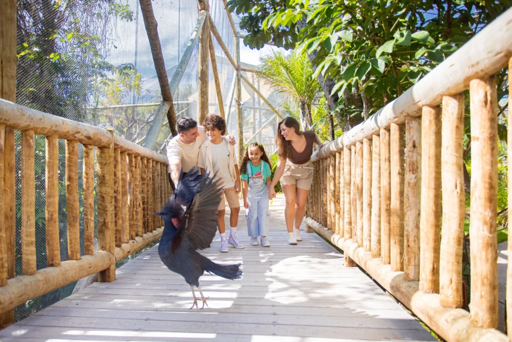 família encantada com os pássaros nativos do Ceará no Arvorar, novo parque do Beach Park, nas férias de julho