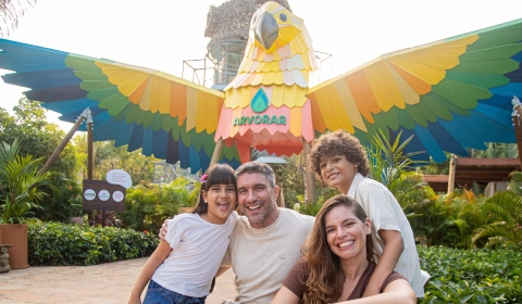 Parque Arvorar