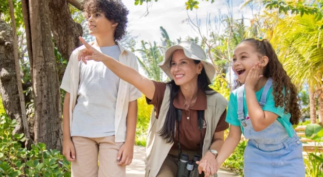 Parque Arvorar: diversão em família no Ceará em meio à natureza