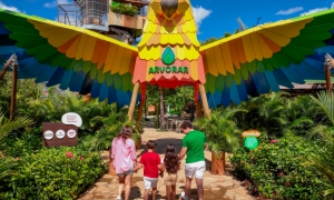 Parque Arvorar - 1 dia adulto