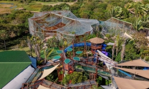 Passaporte Insano - 10 dias