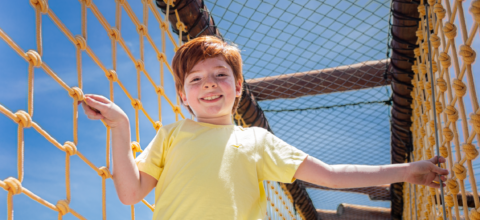 Imagem ilustrativa