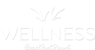 Logomarca Wellness Beach Park Resort